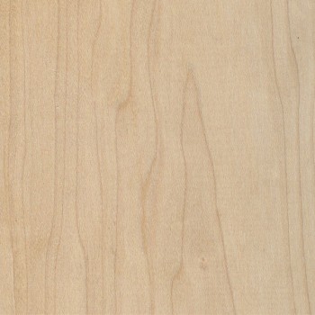 1/2" Hard Maple
