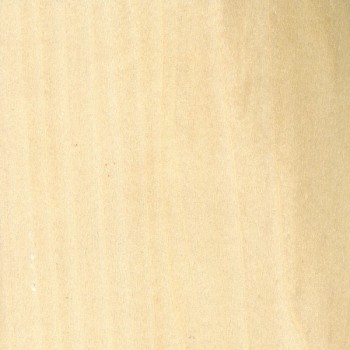 5/8" Poplar