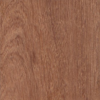5/8" Sapele